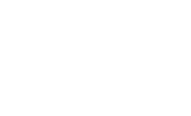 Ethan Allen